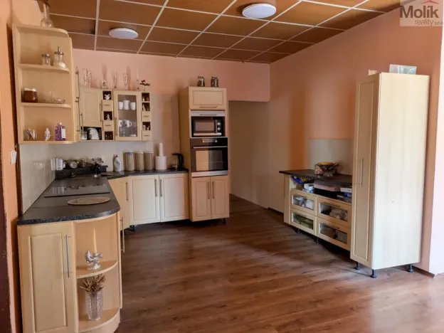 Prodej restaurace, Litvínov - Horní Litvínov, Alešova, 506 m2
