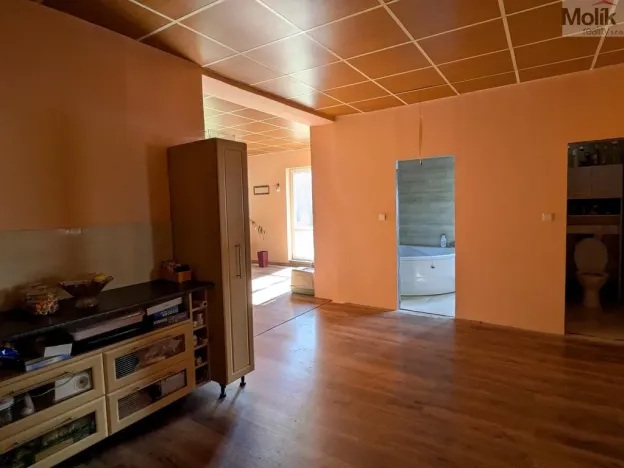 Prodej restaurace, Litvínov - Horní Litvínov, Alešova, 506 m2
