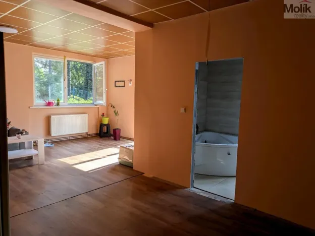 Prodej restaurace, Litvínov - Horní Litvínov, Alešova, 506 m2