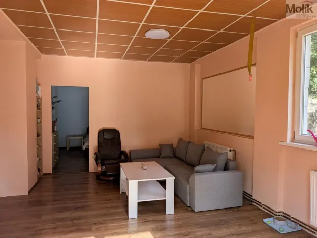 Prodej restaurace, Litvínov - Horní Litvínov, Alešova, 506 m2