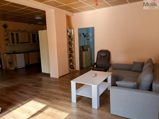 Prodej restaurace, Litvínov - Horní Litvínov, Alešova, 506 m2