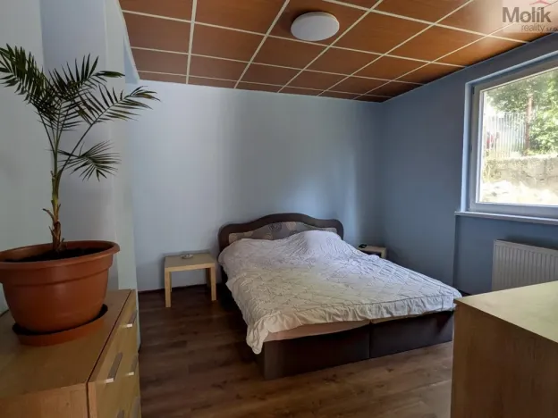 Prodej restaurace, Litvínov - Horní Litvínov, Alešova, 506 m2