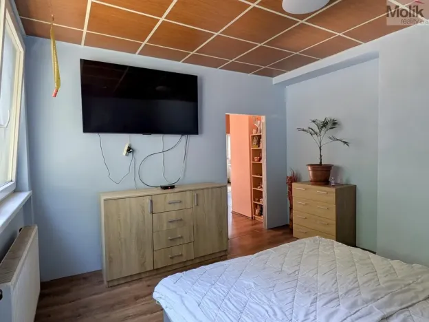 Prodej restaurace, Litvínov - Horní Litvínov, Alešova, 506 m2