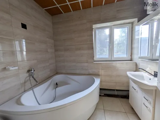 Prodej restaurace, Litvínov - Horní Litvínov, Alešova, 506 m2