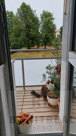 Pronájem bytu 3+1, Velká Bíteš, 92 m2