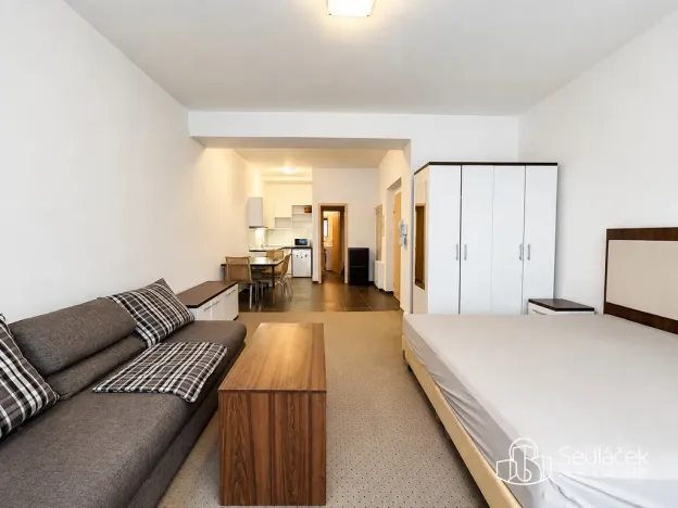 Pronájem bytu 1+kk, Karlovy Vary, Divadelní, 30 m2