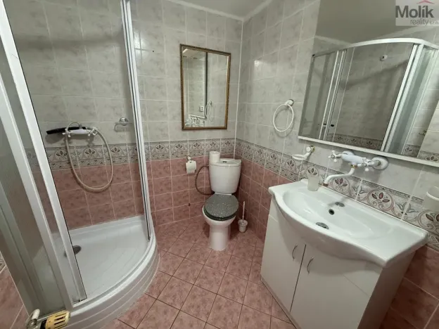 Pronájem bytu 3+1, Chomutov, Školní, 80 m2