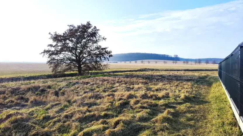 Prodej rodinného domu, Sopřeč, 105 m2