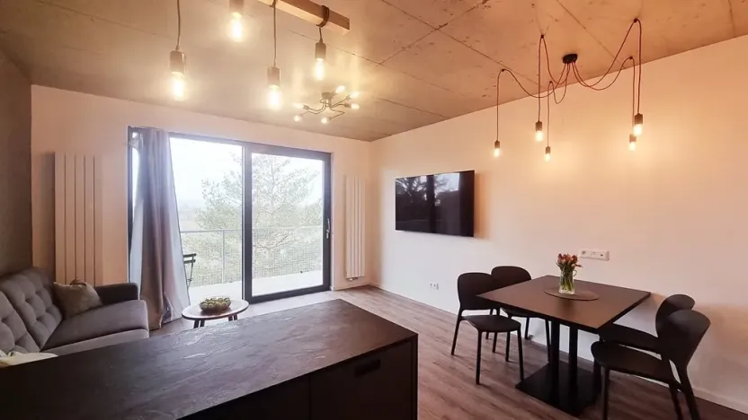 Pronájem bytu 2+kk, Brno, V rejích, 49 m2