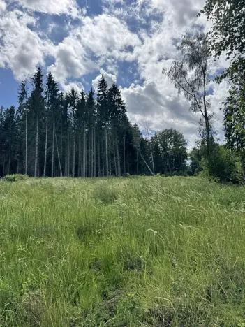 Prodej podílu lesa, Kramolín, 1401 m2