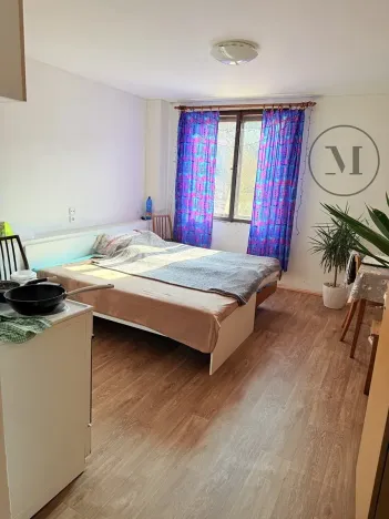 Pronájem bytu 1+kk, Netolice, Mírové Náměstí, 21 m2