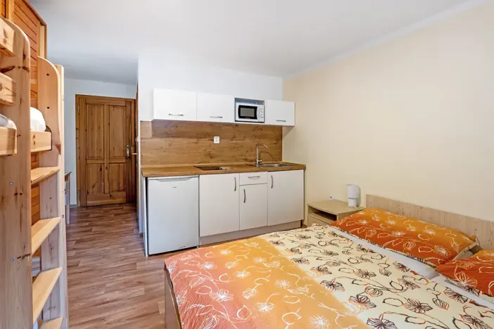 Prodej ubytování, Bartošovice v Orlických horách, 500 m2