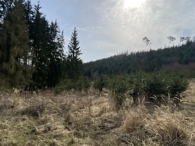 Prodej louky, Městečko Trnávka - Lázy, 1410 m2