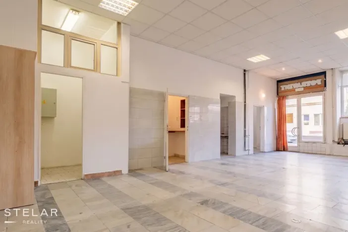 Prodej obchodního prostoru, Opava, 230 m2