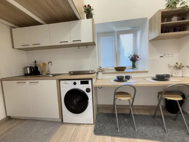 Prodej bytu 1+kk, Opava - Předměstí, Alšova, 12 m2