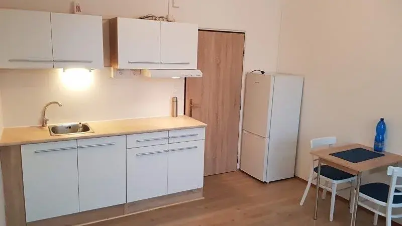 Pronájem bytu 1+kk, Brno, Jedovnická, 20 m2