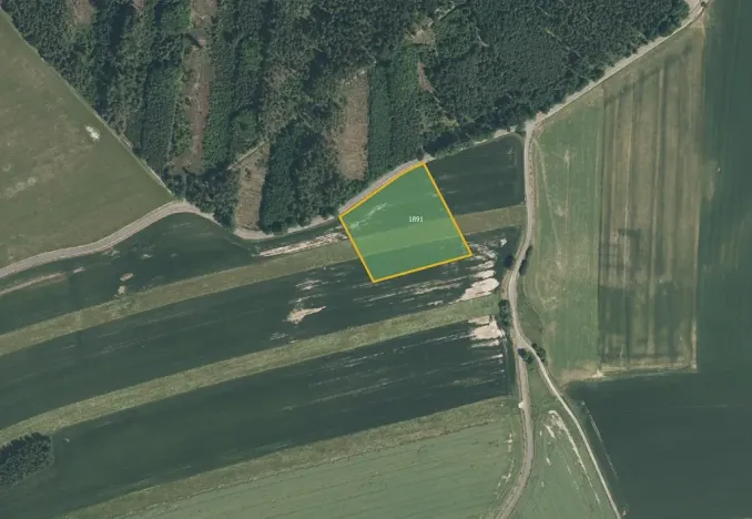 Prodej pole, Biřkov, 6983 m2