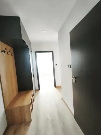Pronájem bytu 2+kk, Most, Josefa Ševčíka, 39 m2