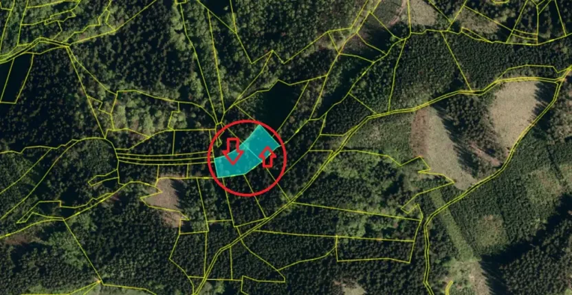 Prodej podílu lesa, Valašská Polanka, 1373 m2