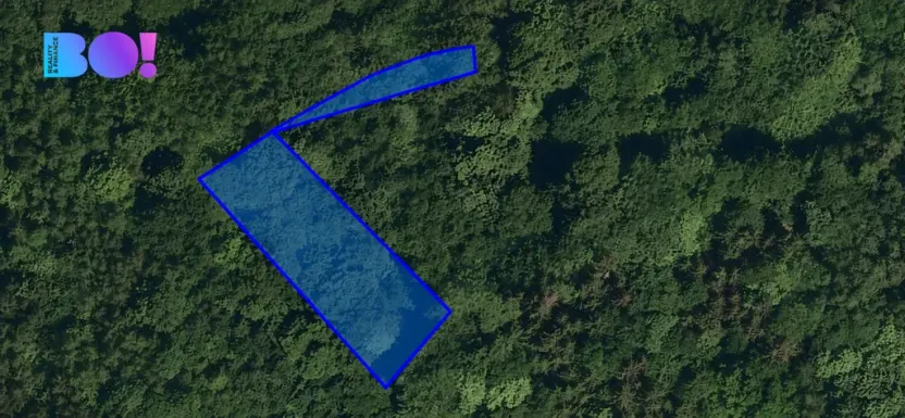 Prodej lesa, Vsetín, 1752 m2