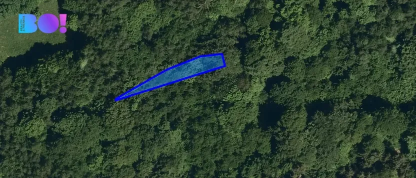 Prodej lesa, Vsetín, 1752 m2