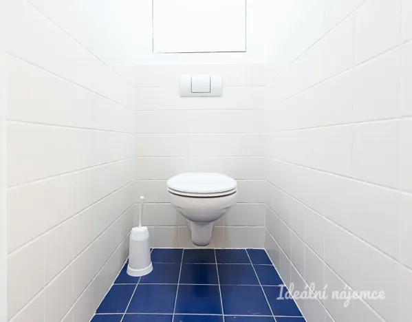 Pronájem bytu 3+kk, Praha - Žižkov, Lupáčova, 62 m2