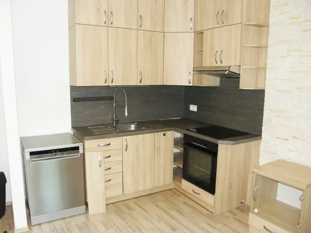 Pronájem bytu 3+kk, Plzeň, Studentská, 75 m2