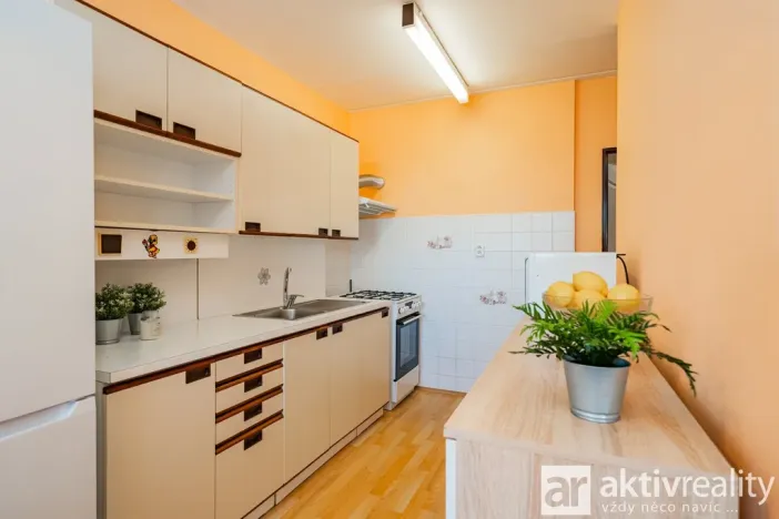 Prodej bytu 3+1, Mělník, Veslařská, 78 m2