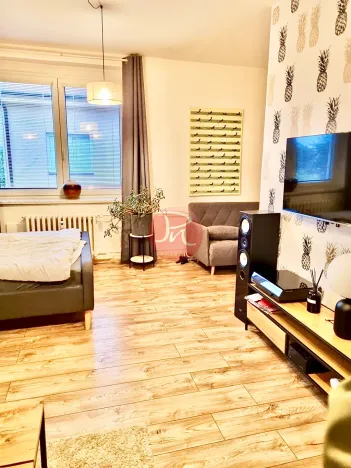 Pronájem bytu 1+1, Ostrava, Garážní, 40 m2
