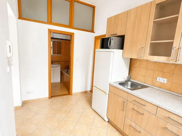 Pronájem bytu 1+kk, Praha - Žižkov, Vlkova, 44 m2