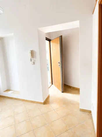 Pronájem bytu 1+kk, Praha - Žižkov, Vlkova, 44 m2