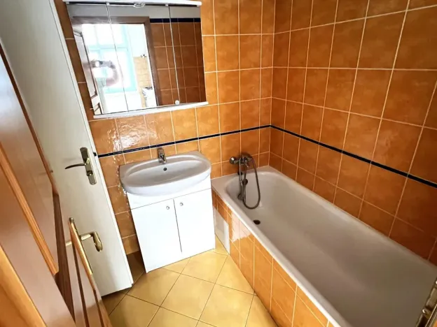 Pronájem bytu 1+kk, Praha - Žižkov, Vlkova, 44 m2