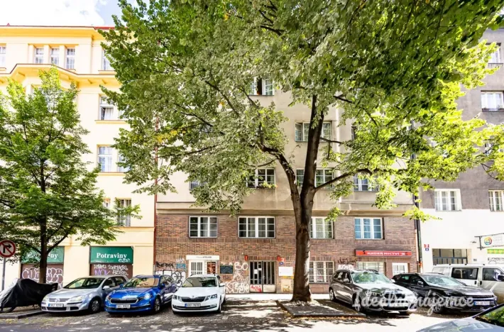 Pronájem bytu 2+1, Praha - Bubeneč, Národní obrany, 46 m2