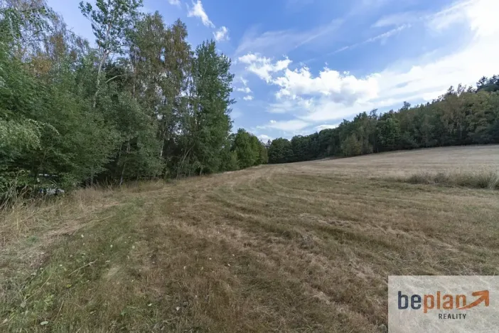 Prodej pozemku pro bydlení, Merklín, 1128 m2
