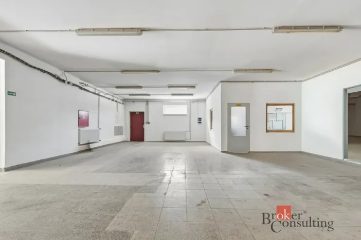 Pronájem výrobních prostor, Blešno, 435 m2