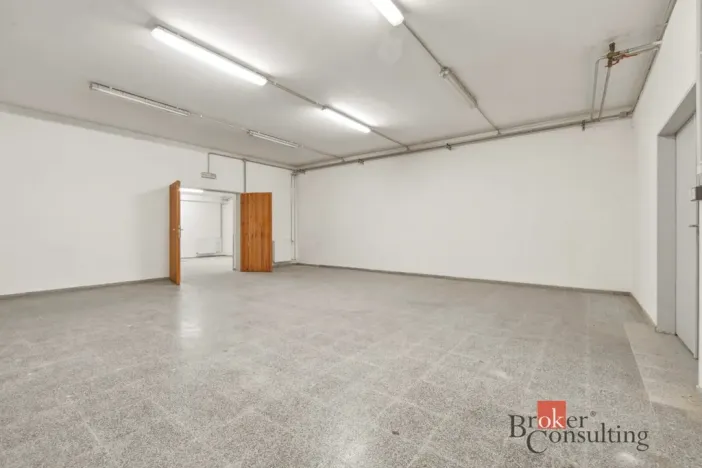 Pronájem výrobních prostor, Blešno, 435 m2