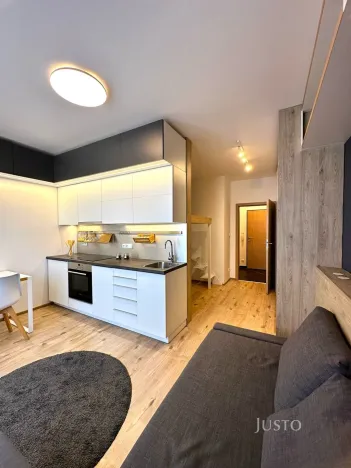 Pronájem bytu 1+kk, Praha - Dolní Měcholupy, Kardausova, 32 m2