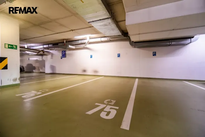 Pronájem bytu 1+kk, Praha - Žižkov, Pitterova, 44 m2