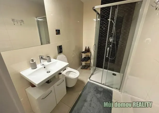 Pronájem bytu 1+kk, Praha - Nové Město, Petrská, 30 m2