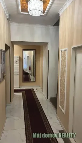 Pronájem bytu 1+kk, Praha - Nové Město, Petrská, 30 m2