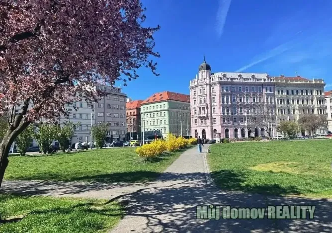 Pronájem bytu 1+kk, Praha - Nové Město, Petrská, 30 m2
