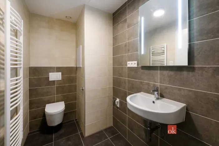 Pronájem bytu 2+kk, Plzeň - Východní Předměstí, Sladová, 54 m2