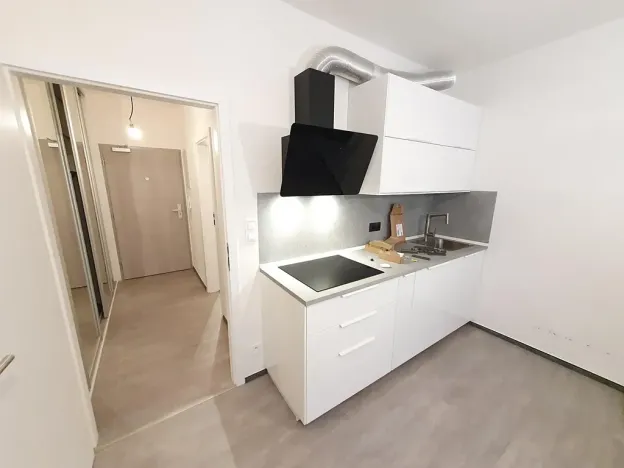 Pronájem bytu 1+kk, Praha - Vysočany, Pod Harfou, 45 m2