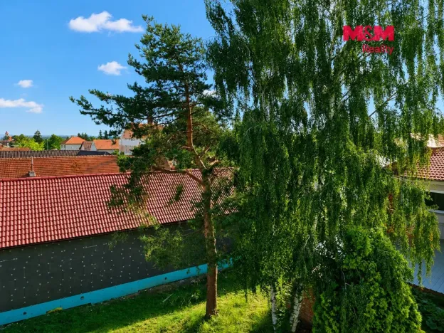 Pronájem bytu 3+1, Velký Osek, Revoluční, 60 m2