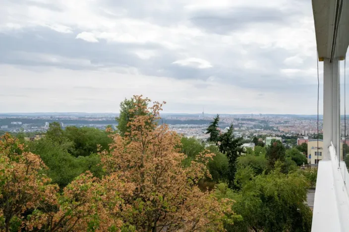 Pronájem bytu 3+1, Praha - Kobylisy, Chotovická, 83 m2