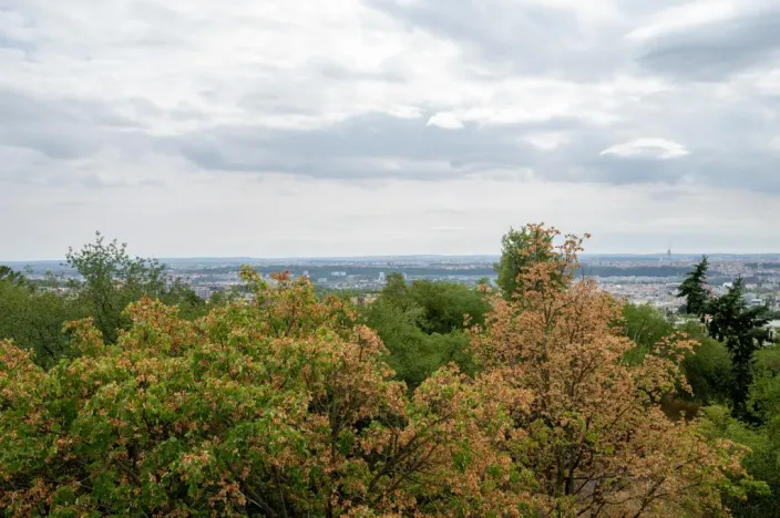 Pronájem bytu 3+1, Praha - Kobylisy, Chotovická, 83 m2