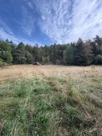 Prodej pozemku pro bydlení, Vlčatín, 56720 m2