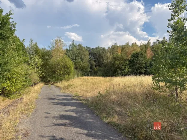 Prodej komerčního pozemku, Plzeň - Černice, Písecká, 4386 m2