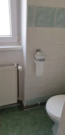 Pronájem bytu 3+1, Teplice, Svojsíkova, 80 m2