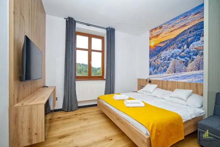 Prodej bytu 1+kk, Branná, 22 m2